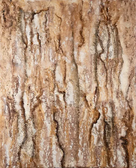 Cicatrices de la Tierra