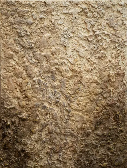 Huella de Luz